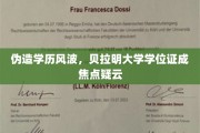 贝拉明大学学位证疑云，伪造学历风波真相何在？
