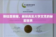 斯旺西荣耀揭秘，探寻真实大学文凭背后的神秘之旅