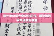 跨国学术通行证，荷兰蒂尔堡大学学位证书，开启全球学术之旅