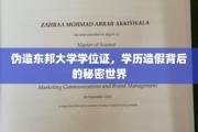 学历迷雾，揭秘伪造东邦大学学位证的隐秘网络