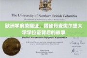 欧洲学府荣耀证，揭秘丹麦奥尔堡大学学位证背后的故事
