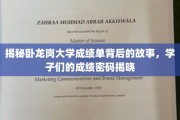 解码卧龙岗大学成绩单，探寻学子成就背后的秘密