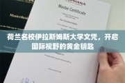 解锁全球视野，荷兰伊拉斯姆斯大学文凭，成就非凡人生之路