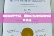 探索新罗大学，揭开成绩单背后的学术秘境