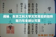 解码东京工科大学，国际视野下的文凭含金量与独到魅力