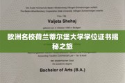揭开荷兰蒂尔堡大学学位证书背后的魅力世界