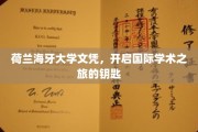 解锁全球学术殿堂，荷兰海牙大学文凭，您的国际学术通行证
