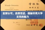 约克大学文凭全球瞩目，品质卓越，魅力非凡的学历认证之旅