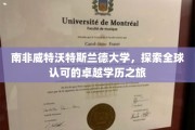 穿越南非威特沃特斯兰德，解锁国际认可的卓越教育之旅