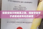 安哈尔特学院学霸养成记，揭秘卓越学子的成功秘籍