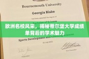 欧洲名校风采，揭秘蒂尔堡大学成绩单背后的学术魅力