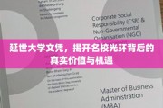 名校光环下的真实价值与机遇，延世大学文凭背后的秘密启示