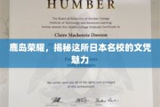 鹿岛风华，解码日本顶尖学府的文凭魅力