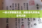 一桥大学荣耀之旅，毕业证书背后的非凡历程