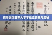 解锁谢泼兹敦大学学位证背后的神秘魅力