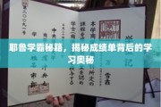 解码耶鲁学霸之路，探寻成绩单背后的智慧秘钥