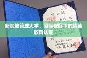 新视野精英养成，新加坡管理大学教育品质解析