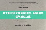 意大利比萨大学荣耀通行证，开启你的留学梦想之旅