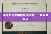 韦恩州立大学成绩亮点大放异彩，揭秘校园学术新风貌