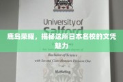 鹿岛之光，探索日本顶级学府鹿岛的文凭魅力