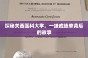 关西医科大学成绩单解码，揭秘学子们的成长轨迹
