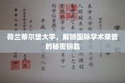 欧洲学术殿堂的秘密之门，蒂尔堡大学国际荣耀背后的钥匙