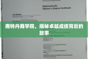 解码鹿特丹商学院，卓越成就背后的非凡历程