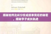 解码北岭辉煌，探索学子成绩单与成长足迹的神秘面纱