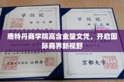 鹿特丹商学院文凭，引领全球商业新航向