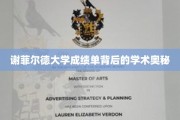 解码谢菲尔德大学成绩单，揭开学术成就的神秘面纱