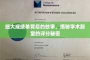 探寻纽大成绩单背后的传奇，解码顶尖学府的评分奥秘