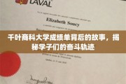 千叶商科大学成绩单背后，学子奋斗之路的精彩篇章