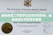 探索都柏林理工学院学位证的传奇历程，国际认可的学术巅峰见证