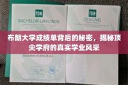 布朗大学成绩单揭幕，一窥精英教育的卓越与风采
