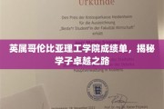 解码卓越，英属哥伦比亚理工学院学子成就背后的秘密