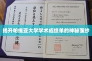 探索帕维亚大学成绩单背后的秘密世界