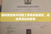 新加坡共和理工学院，揭秘辉煌成绩单背后的传奇历程