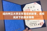 揭开纽约州立大学文凭的神秘面纱，名校光环下的真实生活画卷