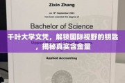 开启国际舞台之门，千叶大学文凭，解析其全球认可价值