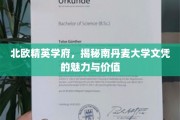 探寻北欧瑰宝，南丹麦大学文凭的非凡魅力与深远价值