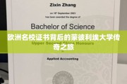 探索蒙彼利埃，揭开欧洲名校证书背后的传奇篇章