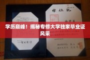专修大学毕业证闪耀，揭秘学历巅峰的独有魅力