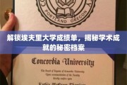 埃夫里大学成绩单探秘，一窥学术卓越的神秘面纱