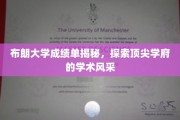 布朗大学成绩单背后的学术魅力探秘