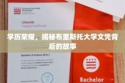 布里斯托大学荣耀揭秘，学历背后的传奇历程