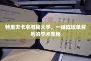 揭开特里夫卡拿撒勒大学成绩单背后的学术秘境