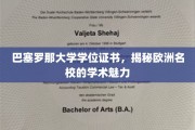 解锁巴塞罗那大学，探寻欧洲顶尖学府的学术风采