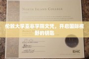 伦敦大学亚非学院文凭，解锁全球视野的璀璨钥匙