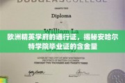 解码安哈尔特学院，欧洲精英学府的黄金通行证