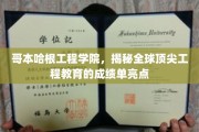 哥本哈根工程精英榜，揭秘全球工程教育的高光时刻